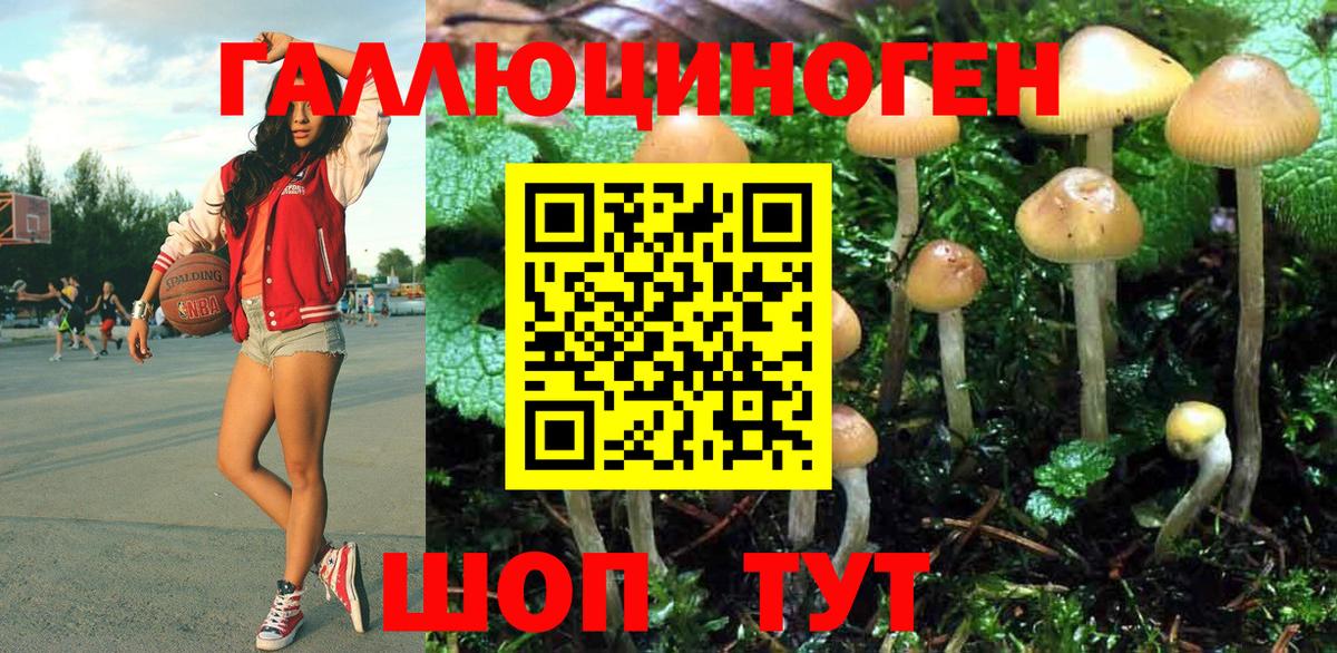 Псилоцибиновые грибы MAGIC MUSHROOMS Юрга