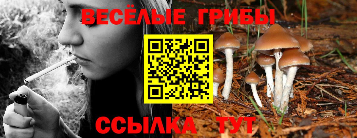 Галлюциногенные грибы ЛСД  наркота  Юрга  Галлюциногенные грибы GOLDEN TEACHER  Вход с VPN 